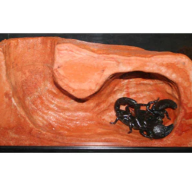 Habi-Scape Small Burrow 11x5.25x4.75