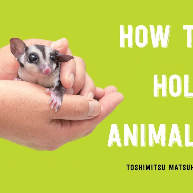 How to Hold Animals, A book by Toshimitsu Matsuhahi