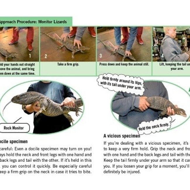 How to Hold Animals, A book by Toshimitsu Matsuhahi