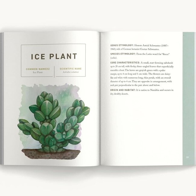 Succulents (Illustrated Field Guides)