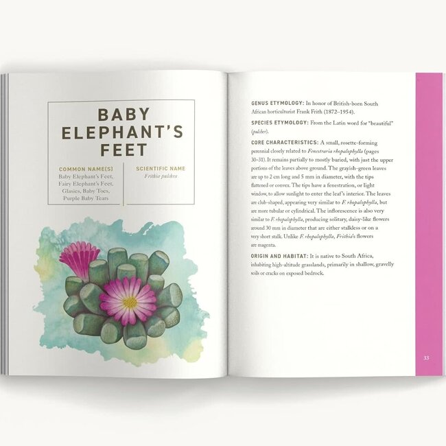 Succulents (Illustrated Field Guides)