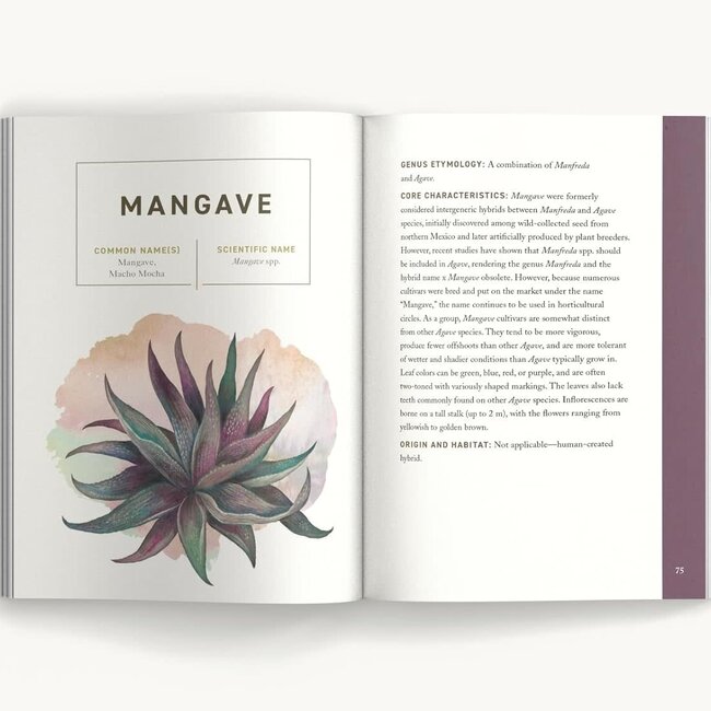 Succulents (Illustrated Field Guides)