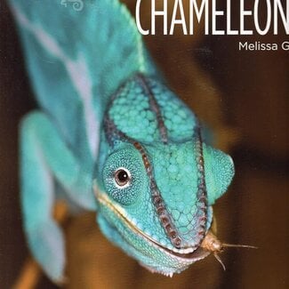 Living Wild: Chameleons Paperback – Illustrated