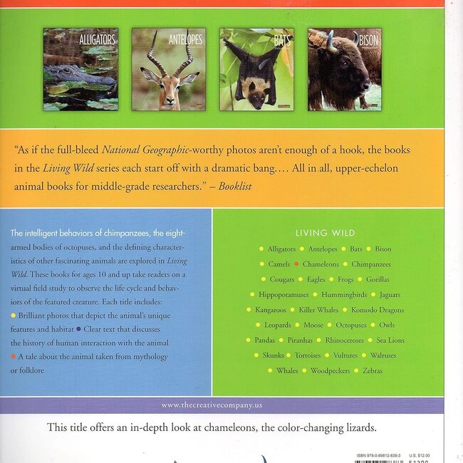 Living Wild: Chameleons Paperback – Illustrated