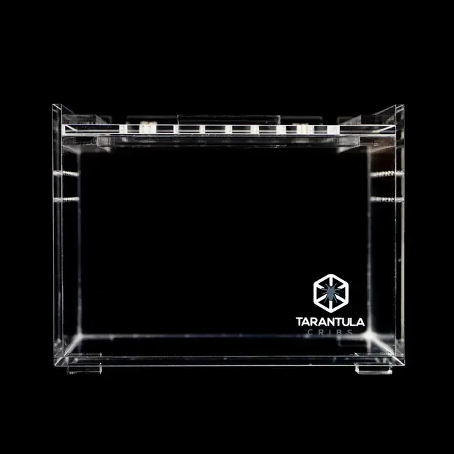Tarantula Cribs Slider Crib Mini 4x3x3" Tarantula Cribs