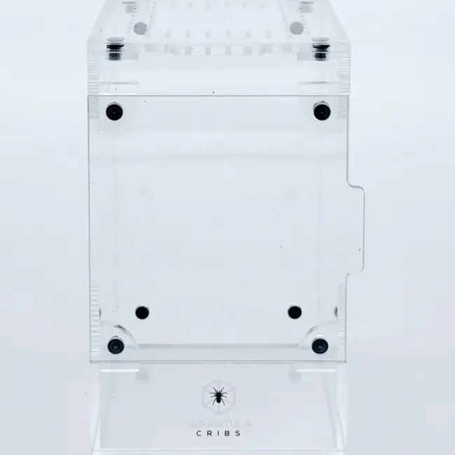 Tarantula Cribs Treehouse Switch Mini 3x3x5" (front+ top opening) Tarantula Cribs