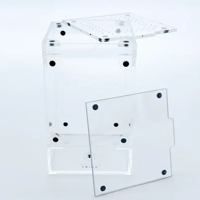Tarantula Cribs Treehouse Switch Mini 3x3x5" (front+ top opening) Tarantula Cribs