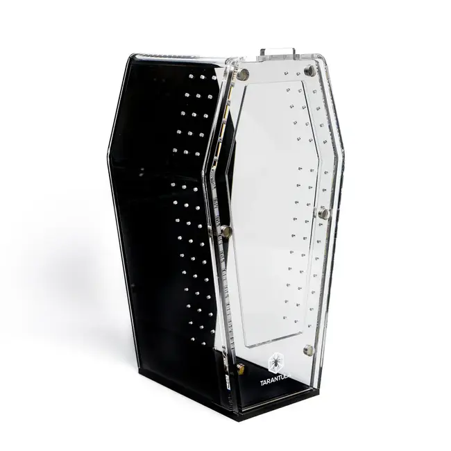 Tarantula Cribs Black Coffin Crib 10x5x5" Medium Tarantula Cribs