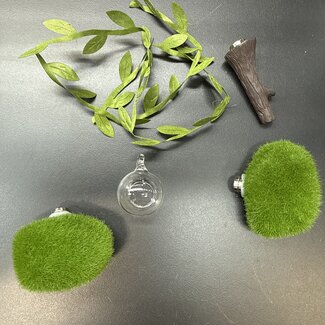 Mini Mossy Forest Arboreal Kit for Jumping Spider