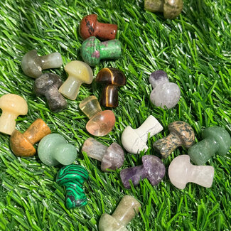 Polished Mini Mushrooms (Assorted Colour)