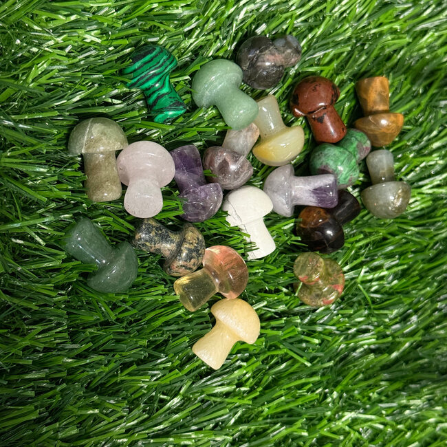 Polished Mini Mushrooms (Assorted Colour)