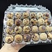 Frozen Coturnix Quail Eggs 24ct
