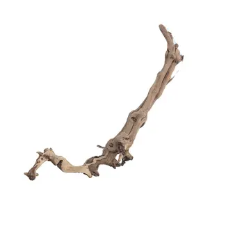 Jurassic Sandblasted Grapewood S2 - 20" to 24"