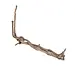 Sandblasted Grapewood 12-15"