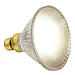 Zoo Med Repti Tuff Splashproof Halogen Lamp - 90 W