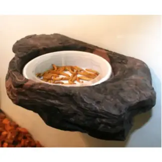 Magnaturals Small Worm Feeder Ledge (Earth Colour)