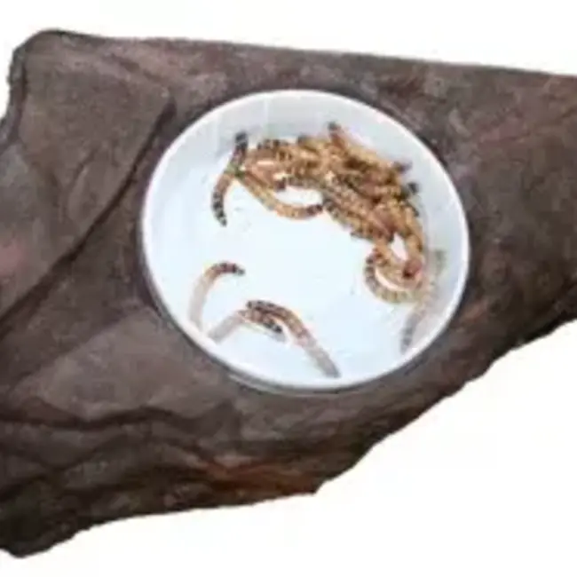 Magnaturals Small Worm Feeder Ledge (Earth Colour)
