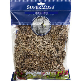 SuperMoss Lichen Parmelia, Natural SuperMoss Lichen Parmelia, Natural