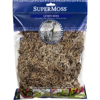 SuperMOss SuperMoss Lichen Parmelia, Natural