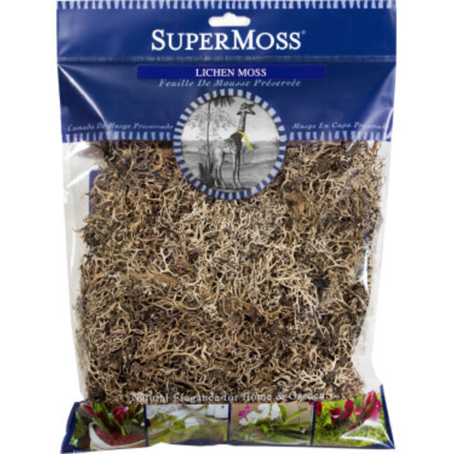 SuperMoss Lichen Parmelia, Natural