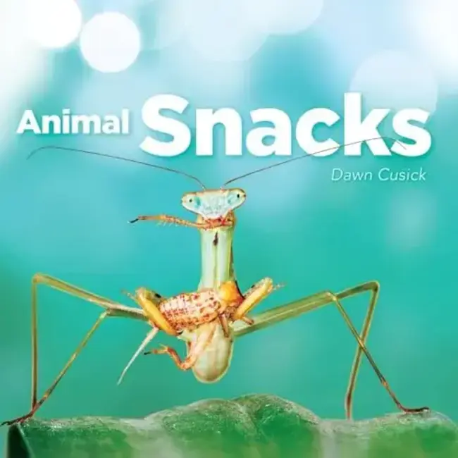 Animal Snacks Book