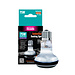 Arcadia Arcadia Golden Sun Basking Spot Lamp - 75W