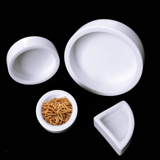 Roonami Worm Feeding Dish (options)