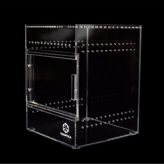 Tarantula Cribs Medium Treehouse 6x6x8" Tarantula Cribs