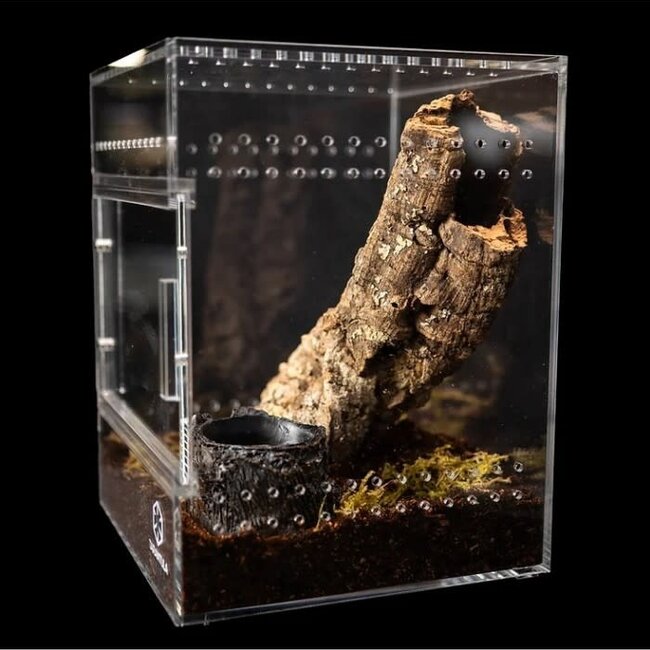 Tarantula Cribs Medium Treehouse 6x6x8" Tarantula Cribs