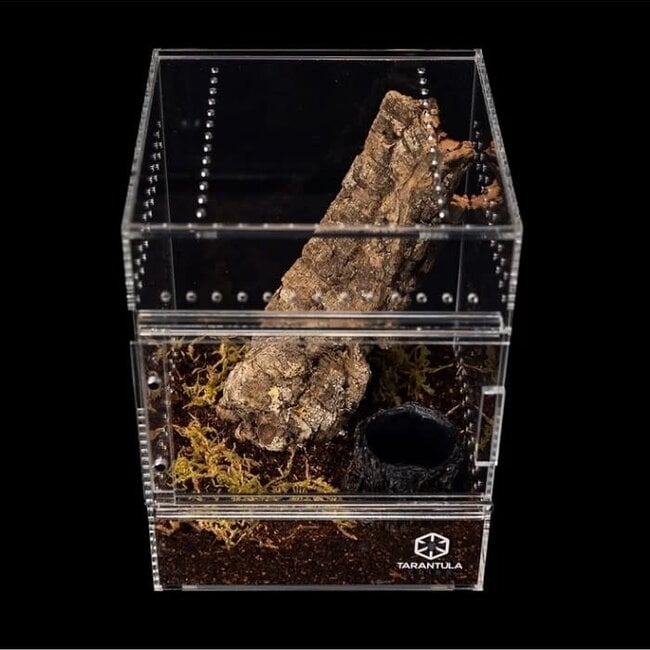 Tarantula Cribs Medium Treehouse 6x6x8" Tarantula Cribs