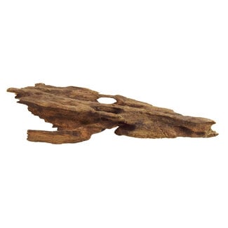 Underwater Treasures Honeycomb Wood - Medium 10-14"