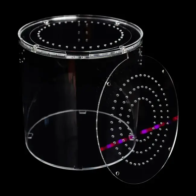 Tarantula Cribs 360 8-Inch Fossorial Enclosure Tarantula Cribs