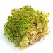 Mossify Natural Canadian Sphagnum Moss - Live Moss / Dormant Moss - Revita-Moss™