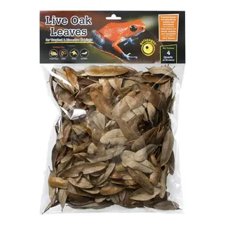 Galapagos Galapagos Oak Leaves 4 qt