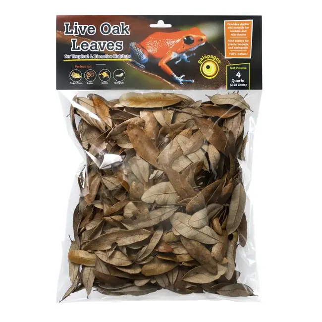 Galapagos Galapagos Oak Leaves 4 qt