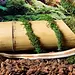 Galapagos Mossy MossVine PER 12"