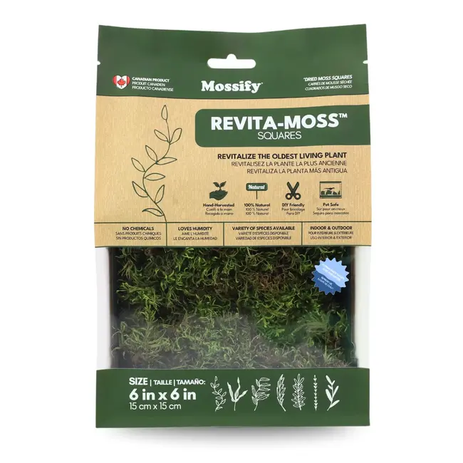 Mossify Natural Canadian Forest Moss - Revita-Moss™ (Pleurozium schreberi)