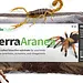 The Bio Dude Terra Aranea Substrate for Tarantulas 6qt