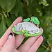 Lilypad - Catfrogs Enamel Pin by Frog Tree Games
