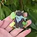 Fishy - Catfrogs Enamel Pin by Frog Tree Games