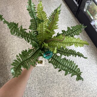 Aquaglobe Silk Plant with Base - Fern Leaf XL (17" height)