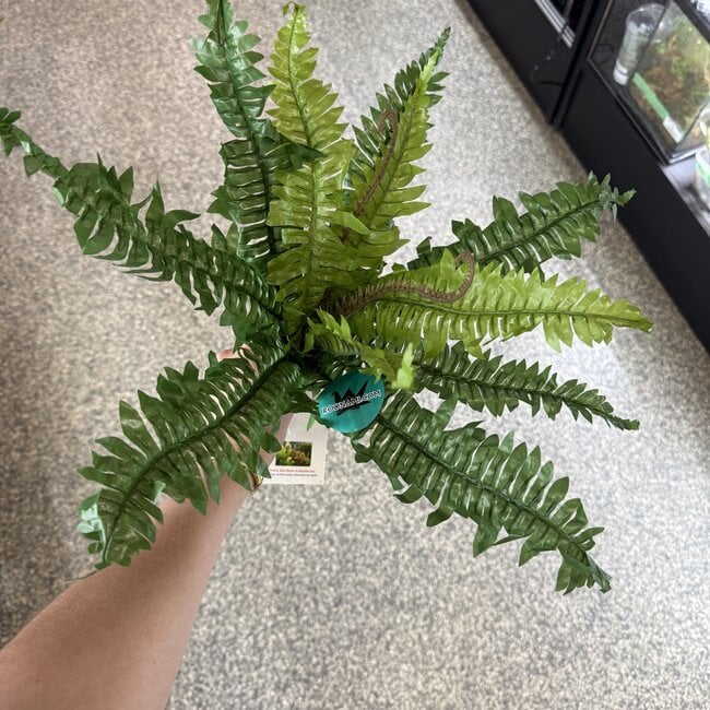Aquaglobe Silk Plant with Base - Fern Leaf XL (17" height)