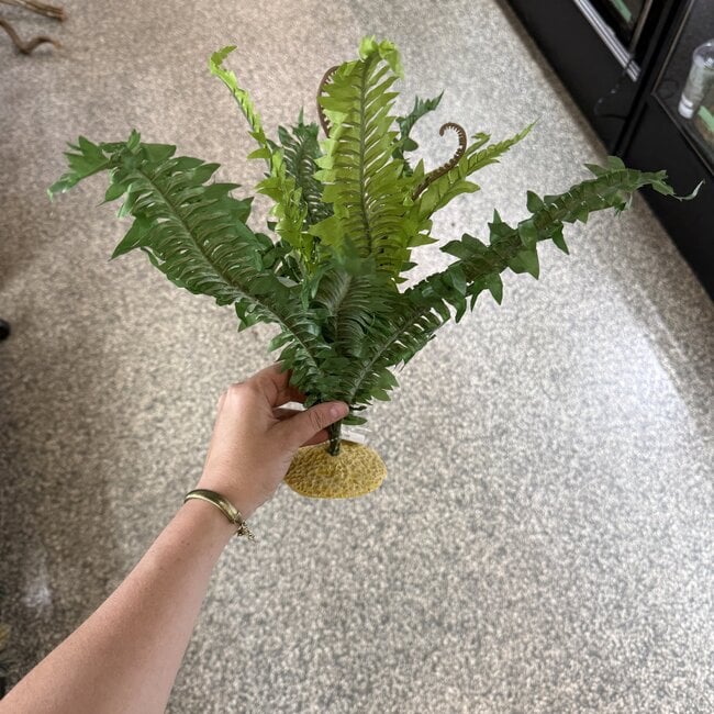Aquaglobe Silk Plant with Base - Fern Leaf XL (17" height)