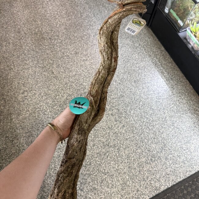 NewCal Liana Vine 24" THICK (Rosca)
