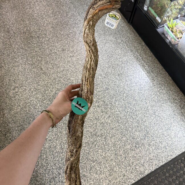 NewCal Liana Vine 24" THICK (Rosca)