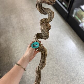 NewCal Liana Vine 36" (Rosca)