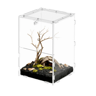 ReptiZoo Knock-Down Acrylic Enclosure 6" x 6.5" x 8.5", 3 mm Thick