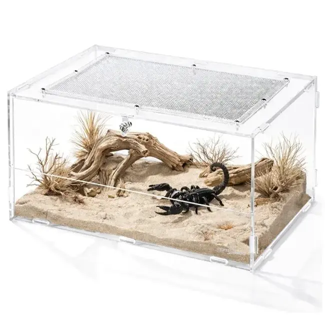 ReptiZoo Knock-Down Acrylic Enclosure 11.8" x 8" x 6", 3 mm Thick