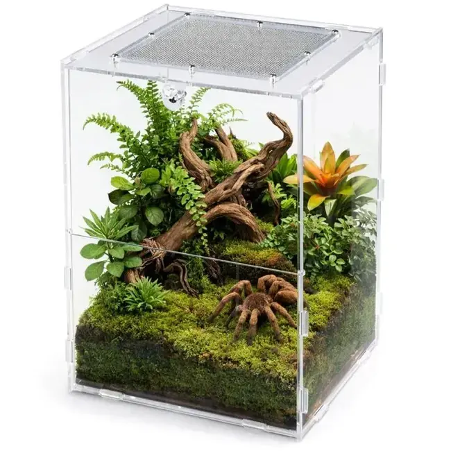 ReptiZoo Knock-Down Acrylic Enclosure 6" x 6.5" x 8.5", 3 mm Thick