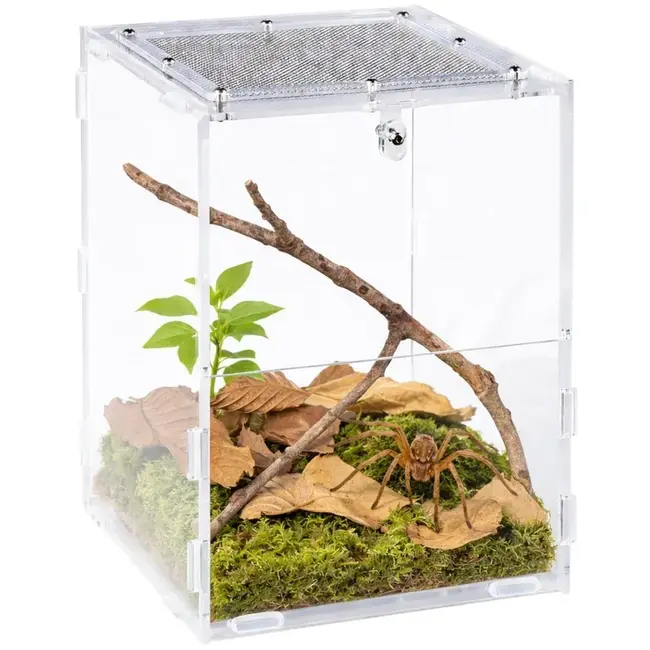 ReptiZoo Knock-Down Acrylic Enclosure 6" x 6.5" x 8.5", 3 mm Thick